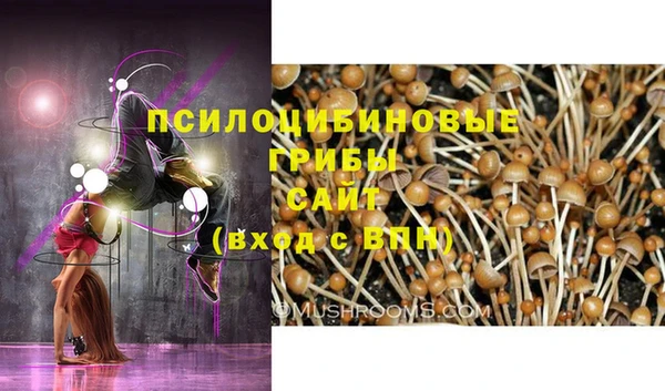 кокаин премиум Магас
