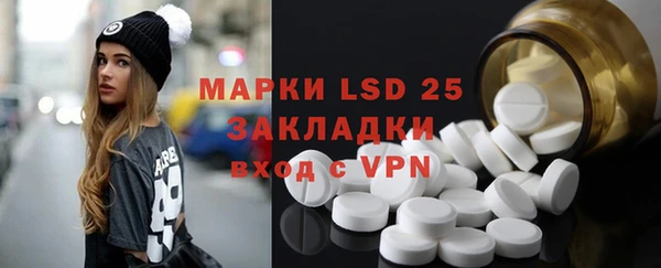 винт Липки