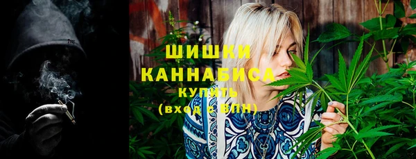 винт Липки