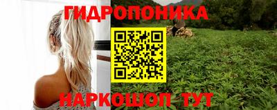 эйфоретик Ирбит