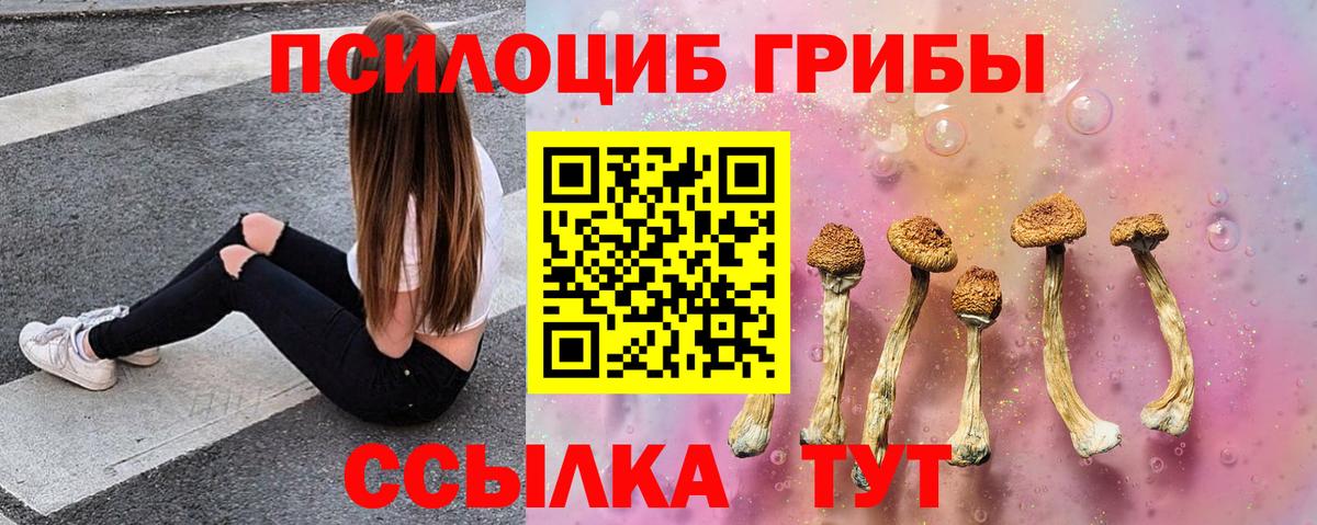 Галлюциногенные грибы Magic Shrooms  Вход с VPN  Псилоцибиновые грибы мухоморы  Нарткала 