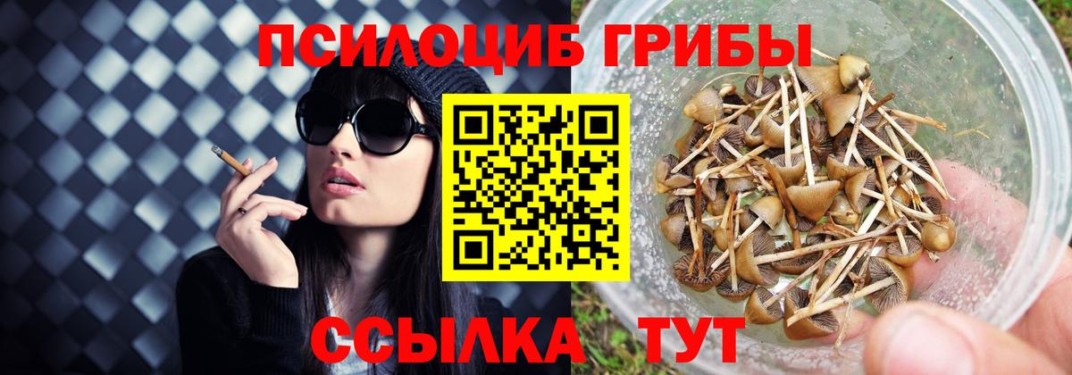 Псилоцибиновые грибы мицелий Нарткала